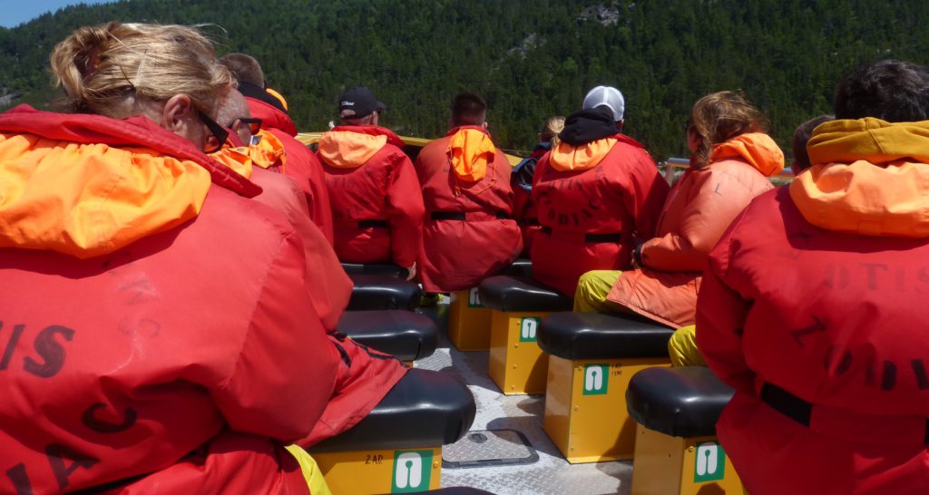 Tadoussac: Walbeobachtungstour  auf dem Zodiac